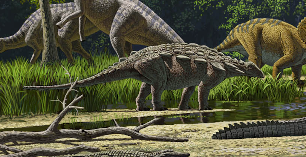 Denversaurus schlessmani