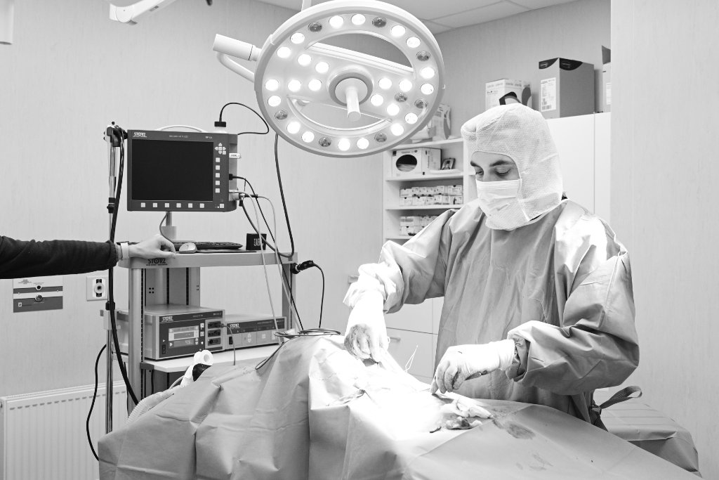Veterinarno otdelenie Endoscopy - Veterinarna klinika Sin Krast Sofia