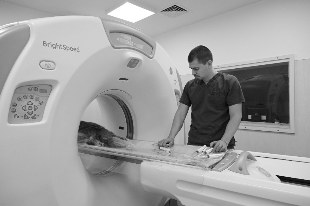 Veterinarno otdelenie Imaging Diagnostics - Veterinarna klinika Sin Krast Sofia