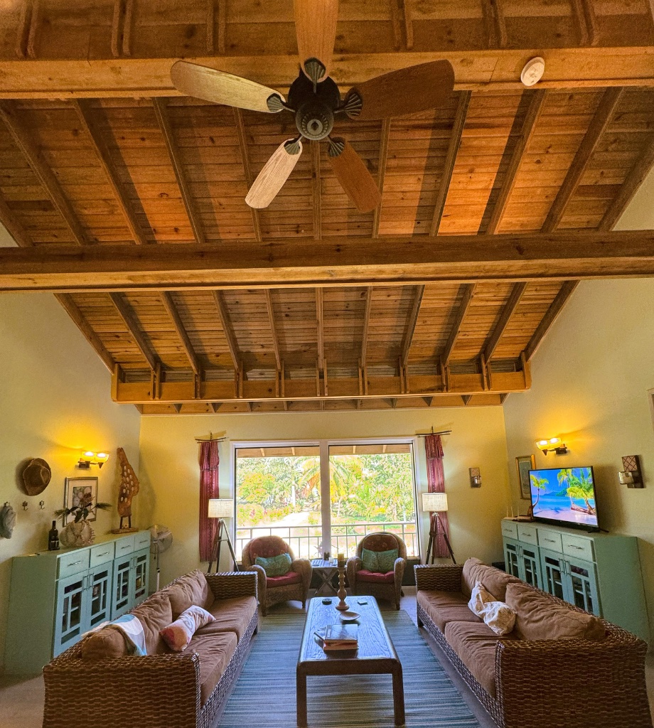Living Room - Daytime