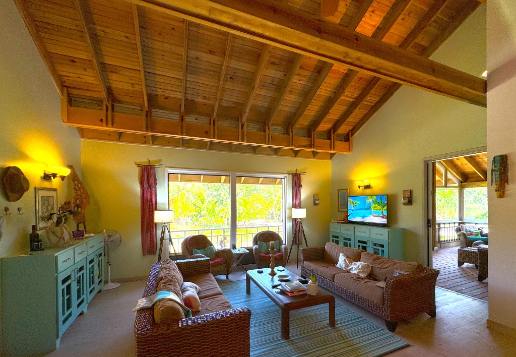 Living Room - Daytime
