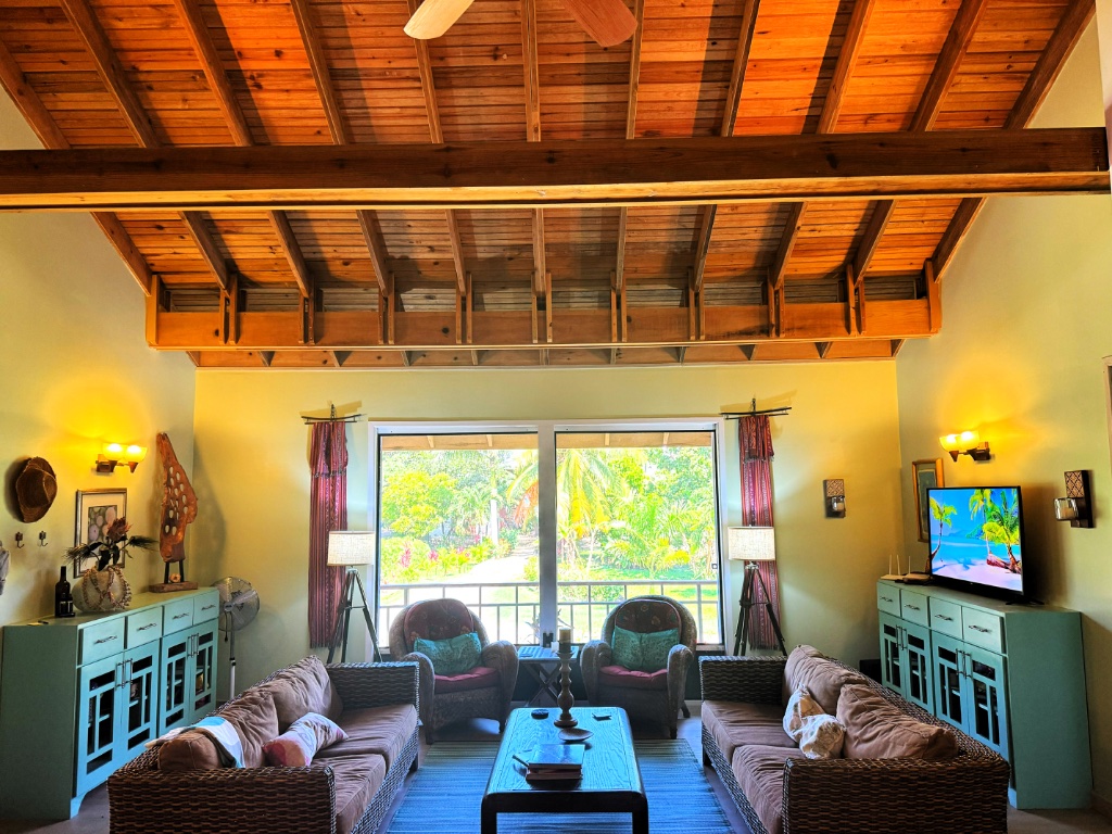 Living Room - Daytime