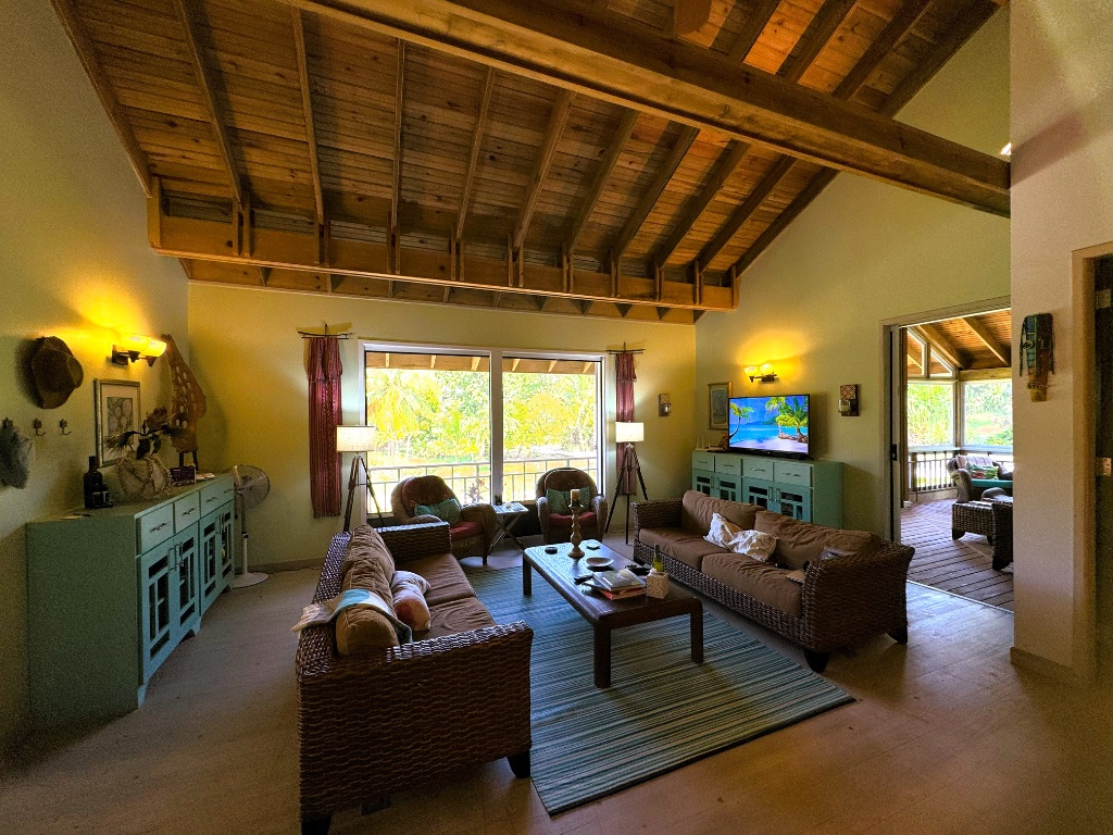 Living Room - Daytime
