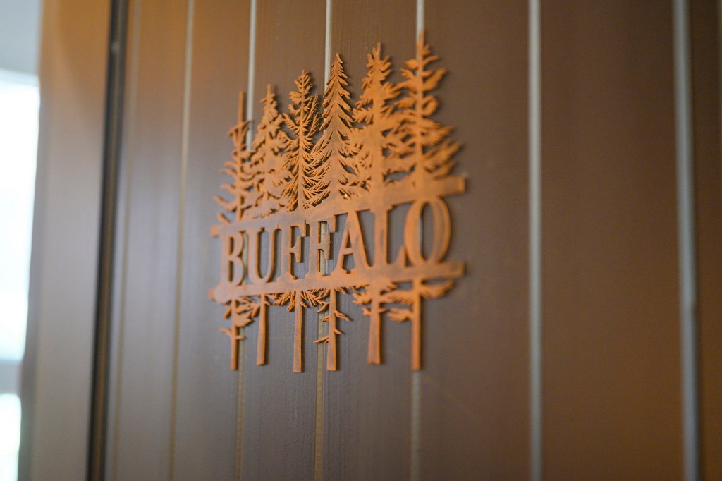 Bronze Bison Head Wall Mount