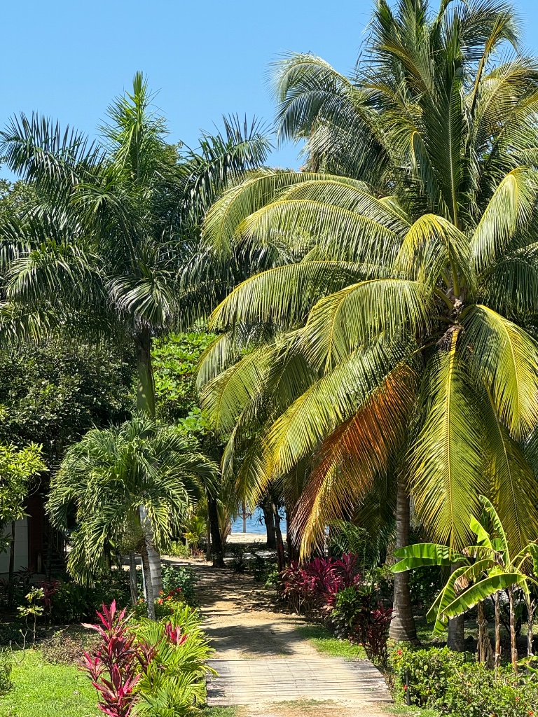 Path to the Beach
