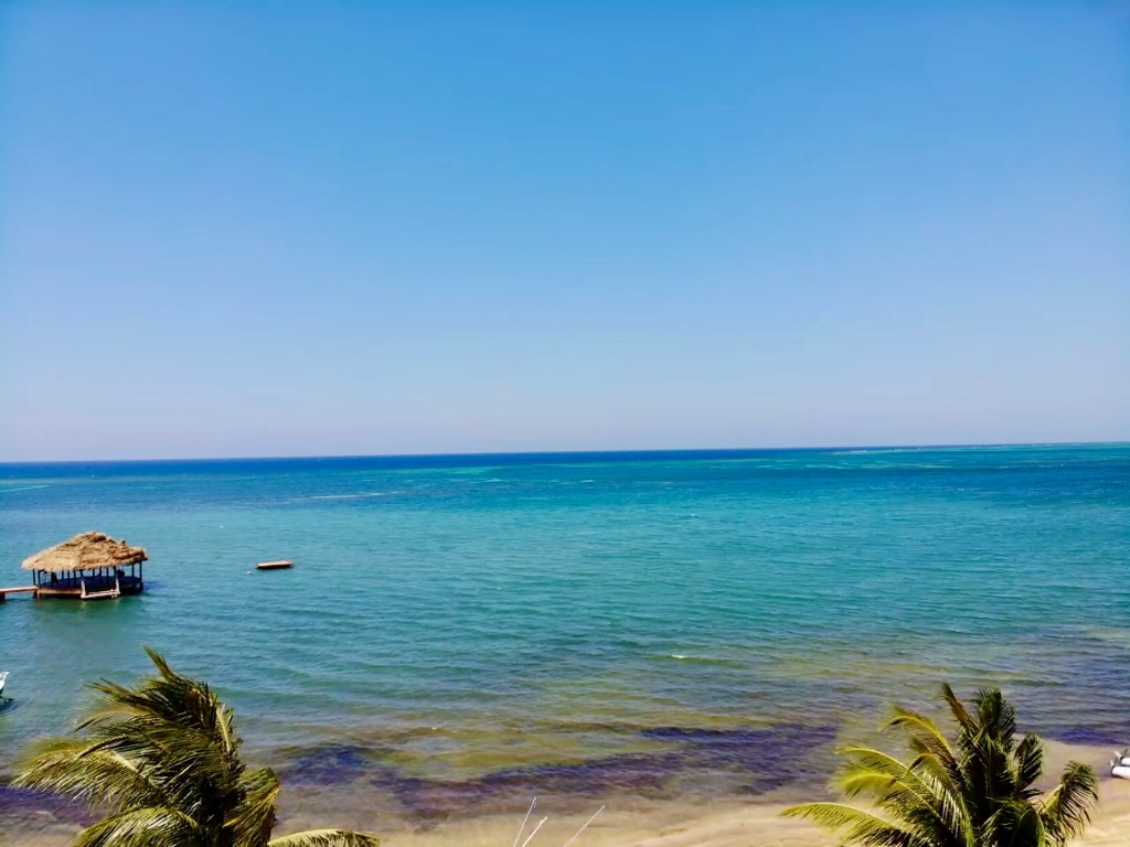 Beach View