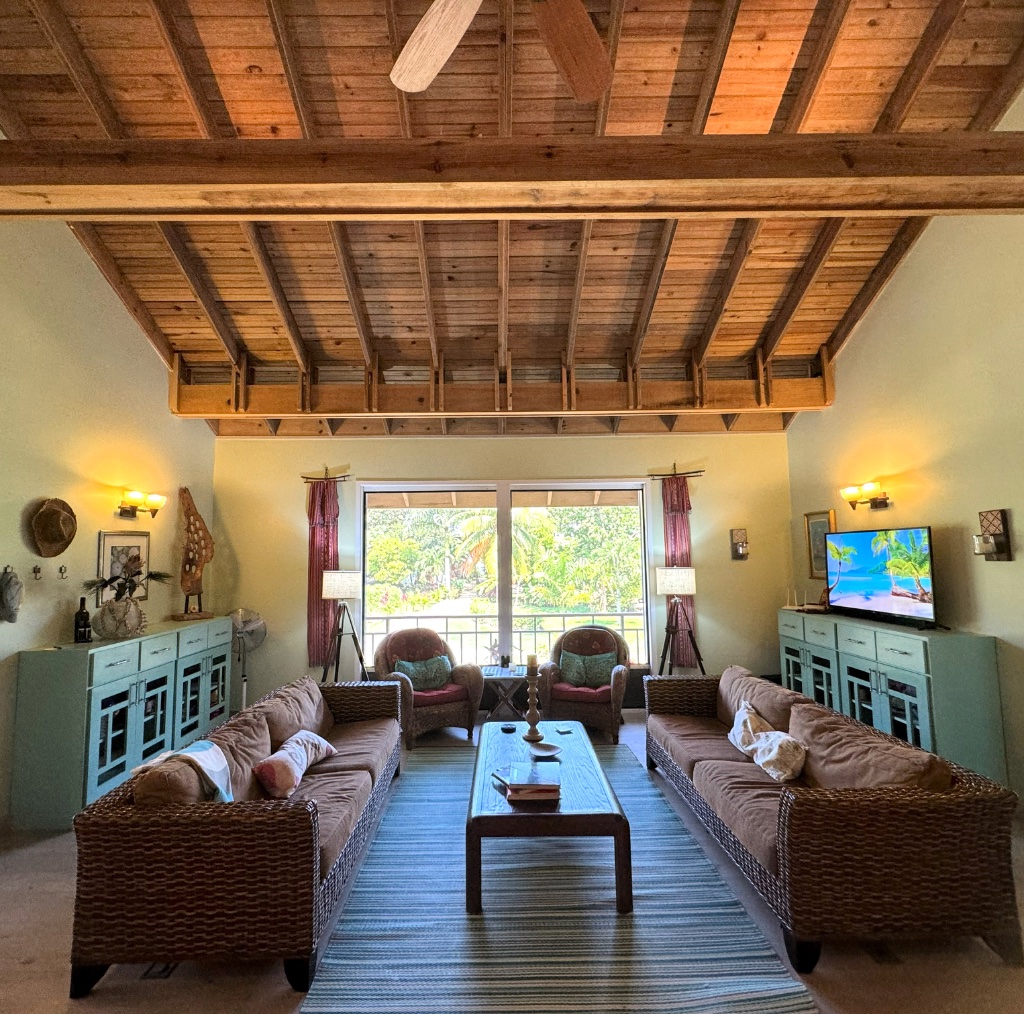 Living Room - Daytime