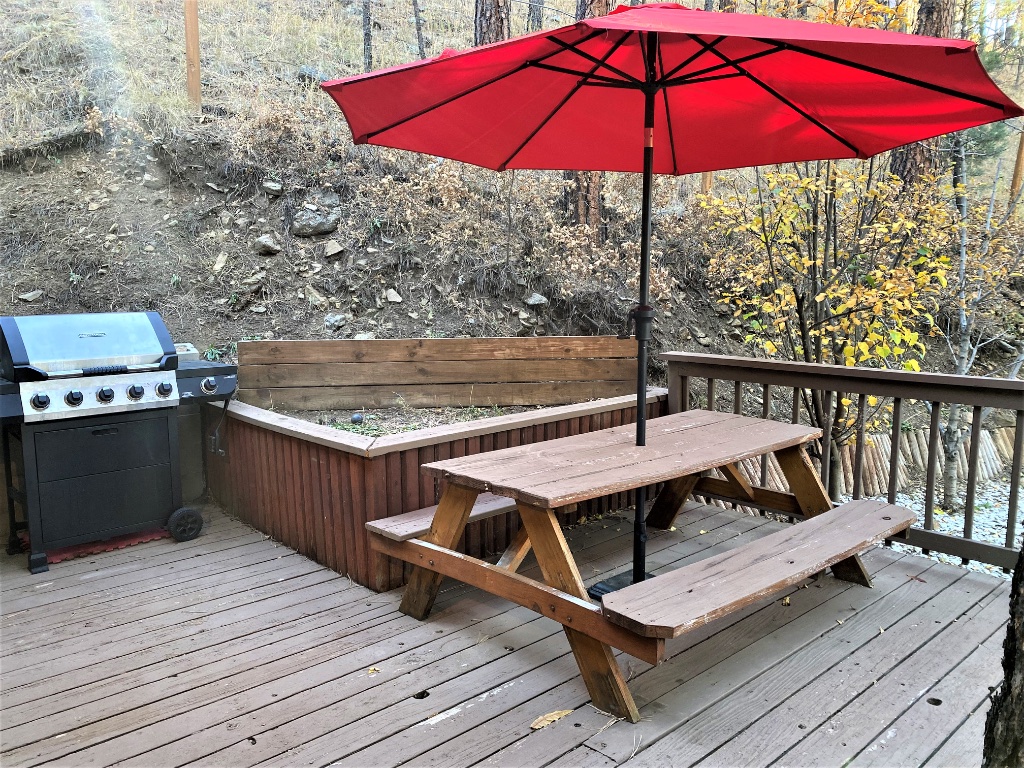 Outdoor Picnic Table & Grill