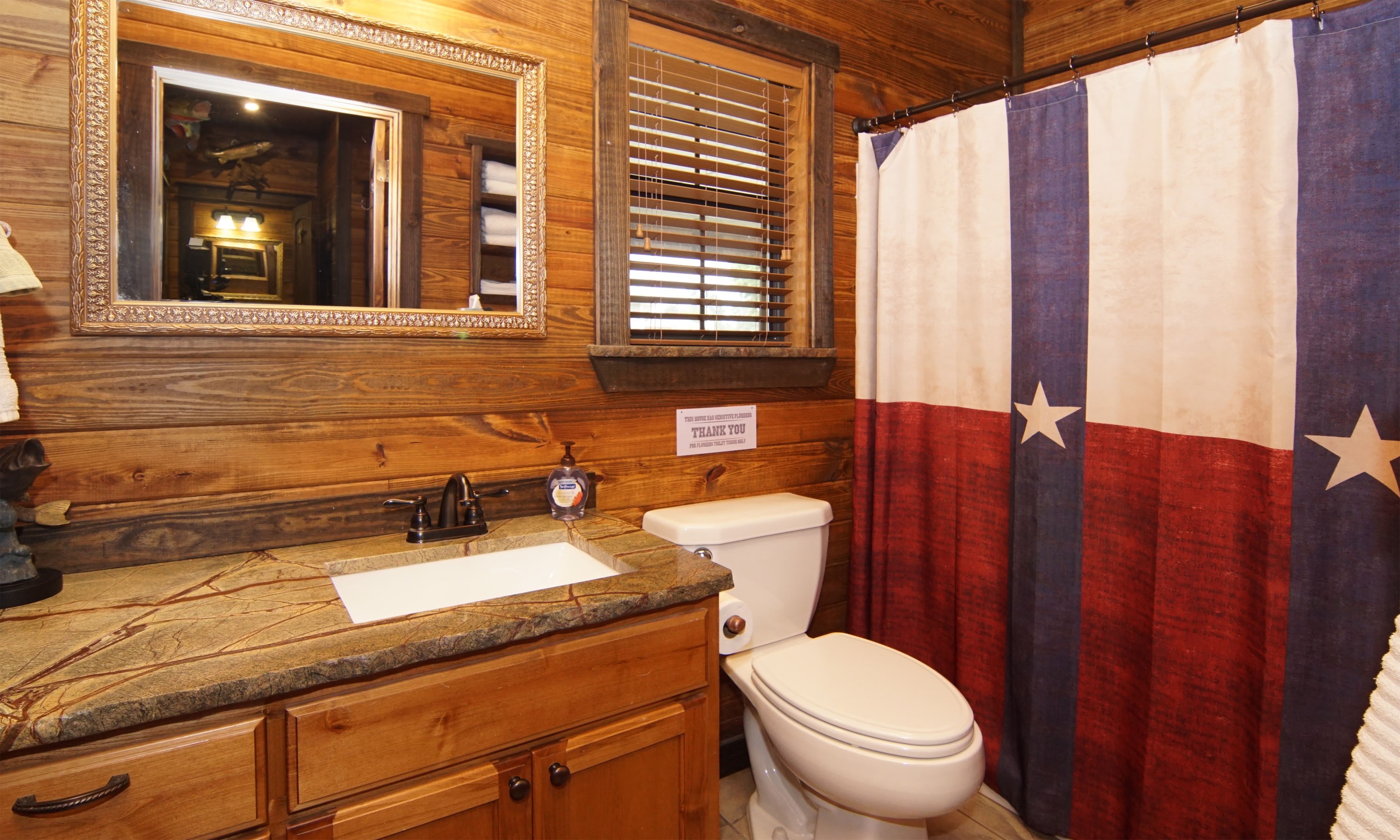 Bathroom 1 - Lone Star State Curtain