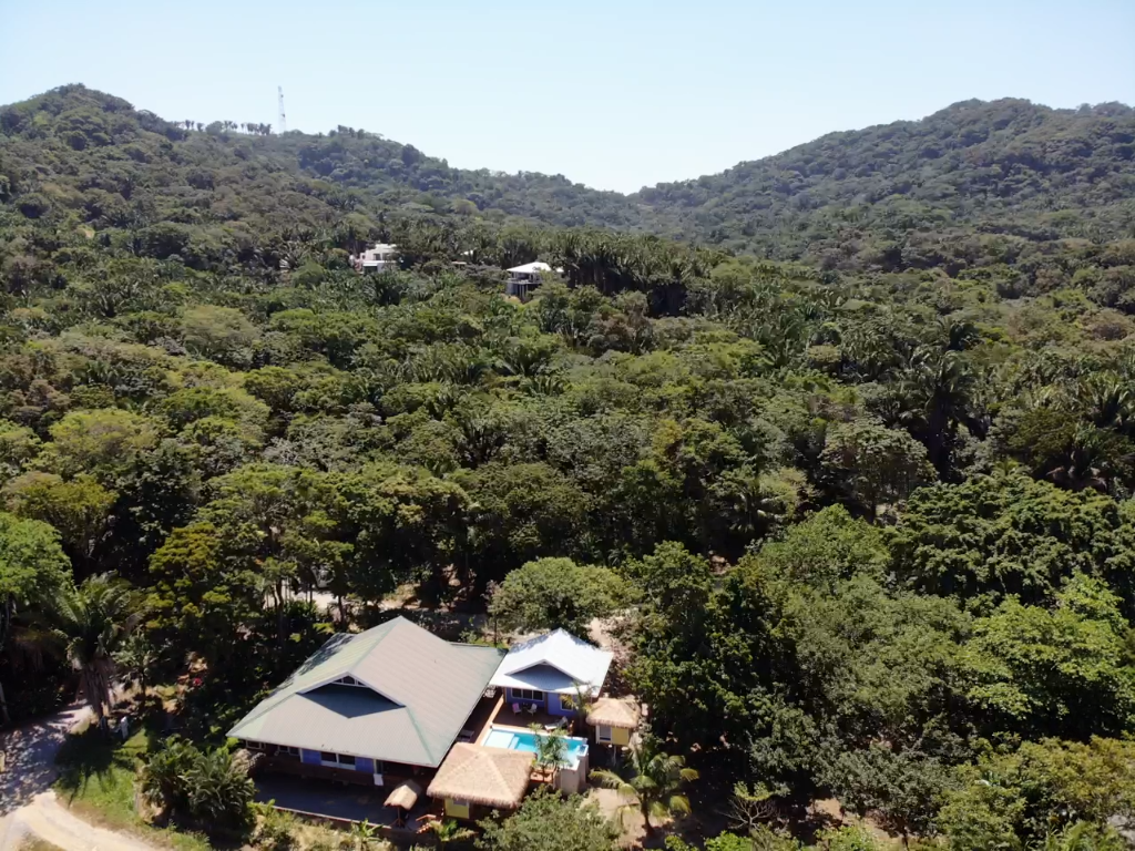 Aerial Jungle View