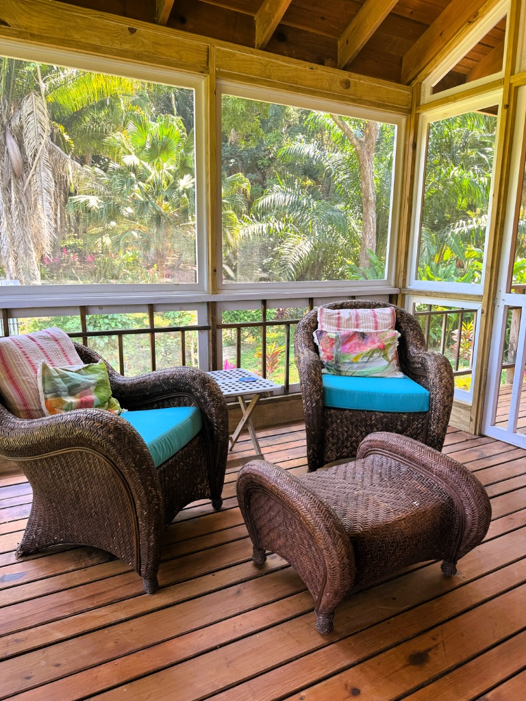 Sitting Area - Screened Porch