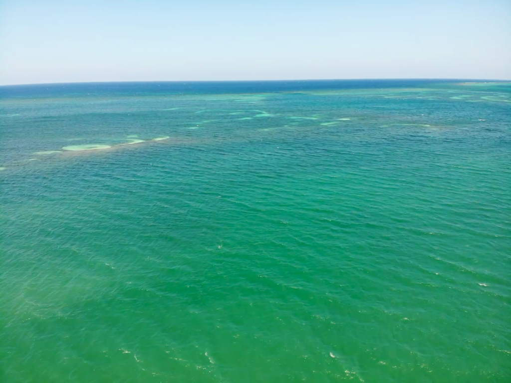 Caribbean Waters