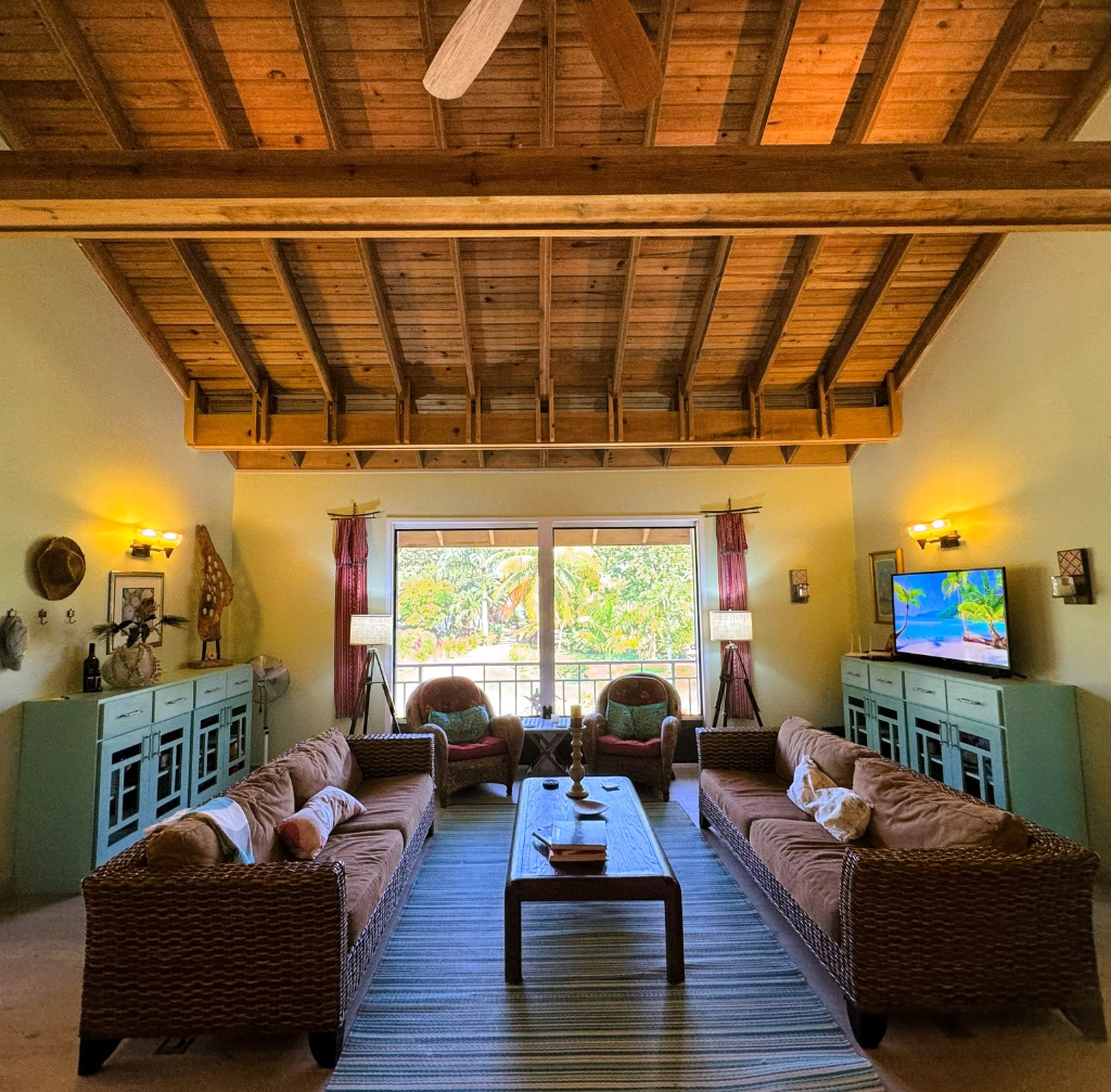Living Room - Daytime