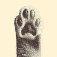 Pawra: Pet Astrology logo