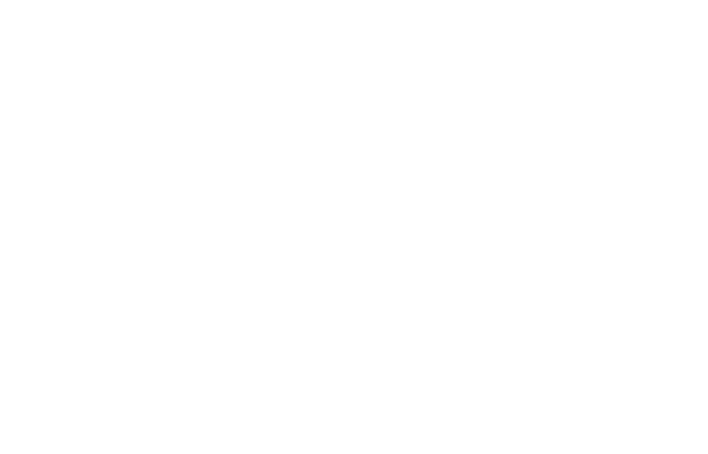 enviaM Logo