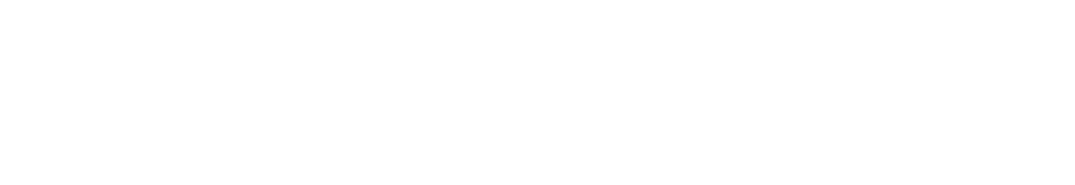 SchengenHaven Logo