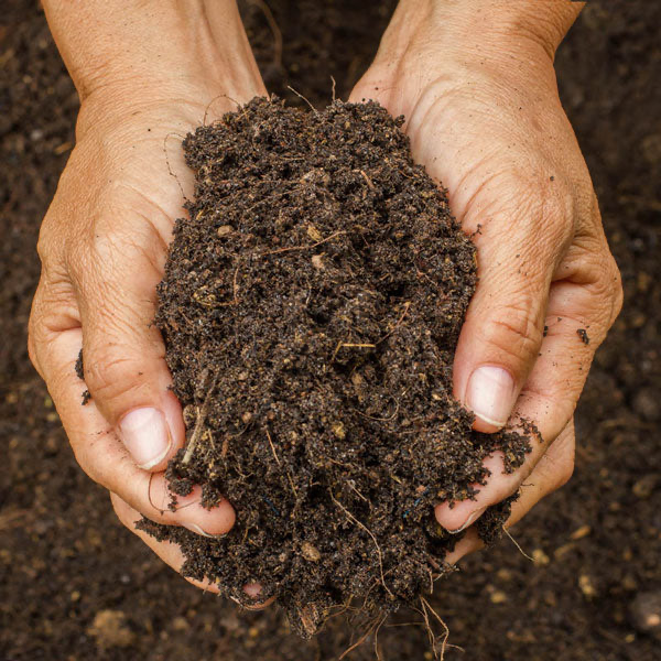 Assessment & Soil Analysis
