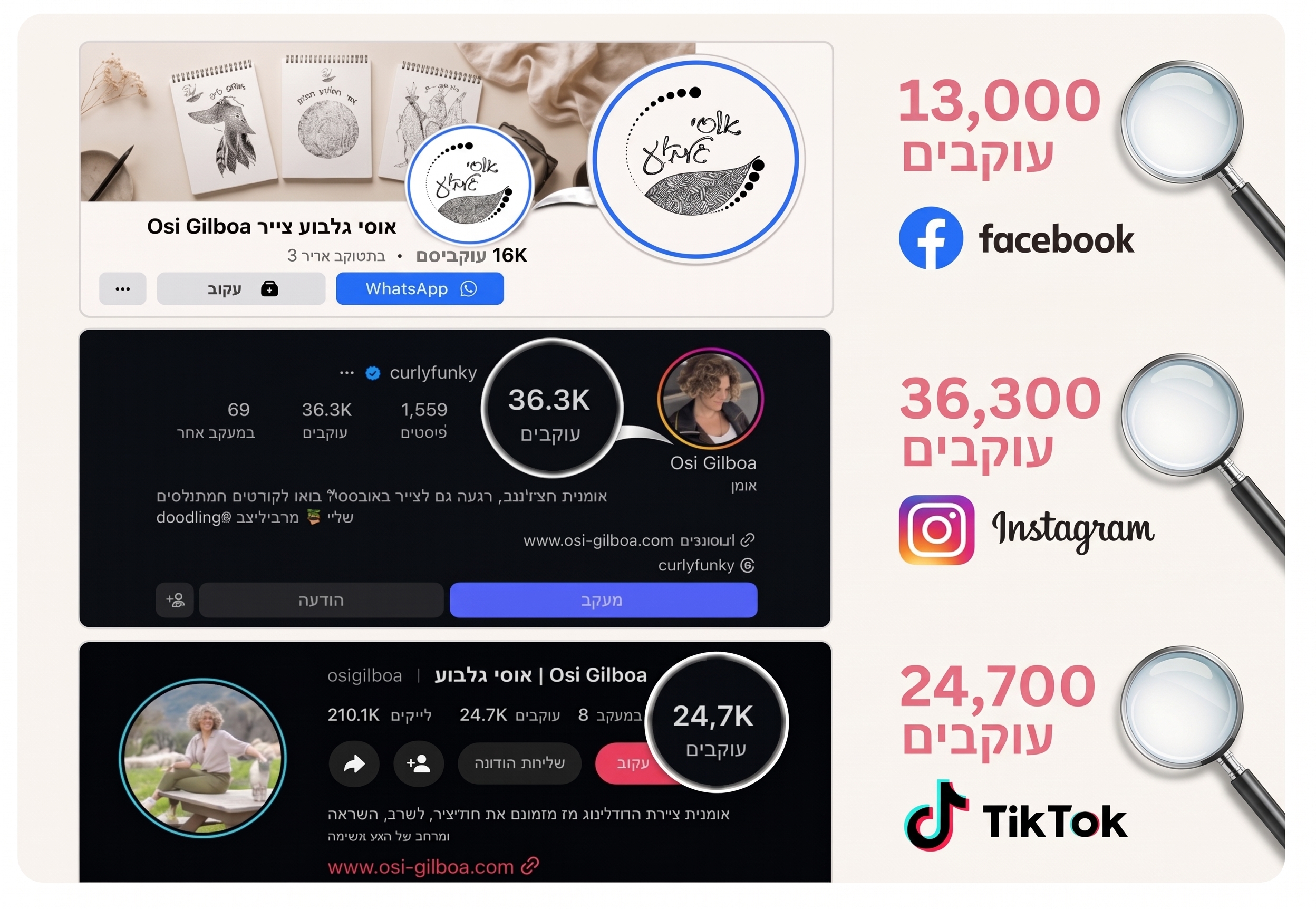 הוכחת עוקבים ברשתות