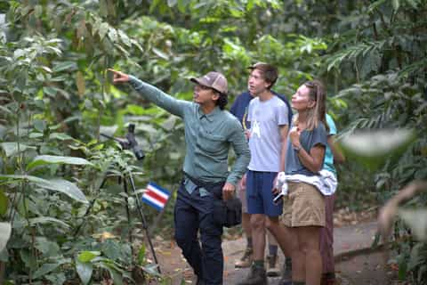 צפייה בחיות בר (Wildlife Tours)