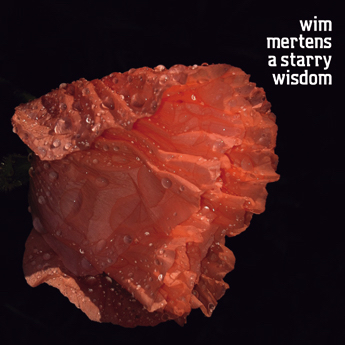 Wim Mertens - Gave Van Niets