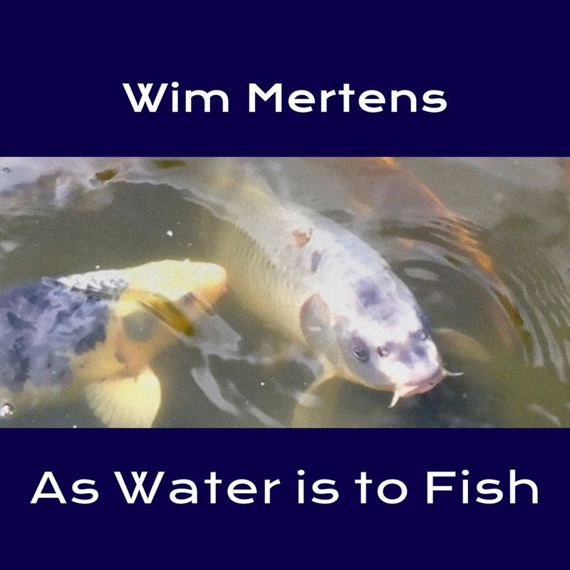 Wim Mertens - As Water is to Fish