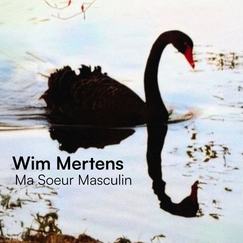 Wim Mertens - Ma Soeur Masculin