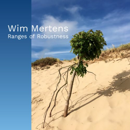 Wim Mertens - Years Without History