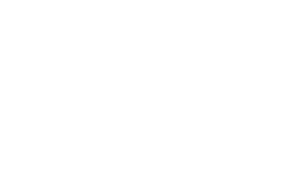 Bruno