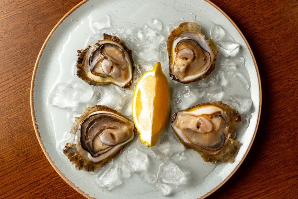 Pelješac Oysters: Why Are They Among the Best in the World?
