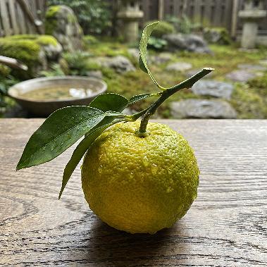 Yuzu