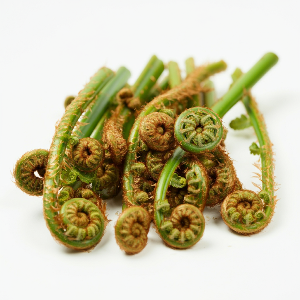 Fiddleheads