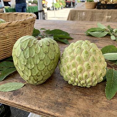 Cherimoya & Atemoya