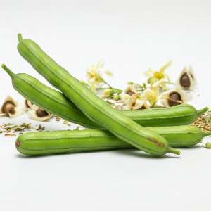 Moringa