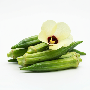 Okra