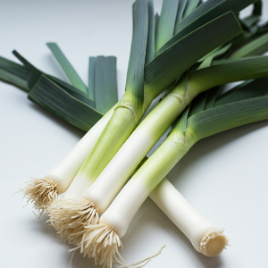 Leek