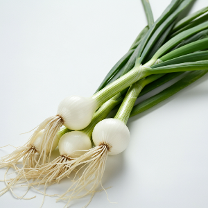 Green Onions (Scallions)