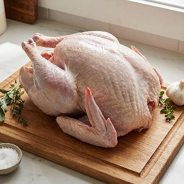 Turkey