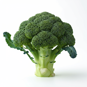 Broccoli