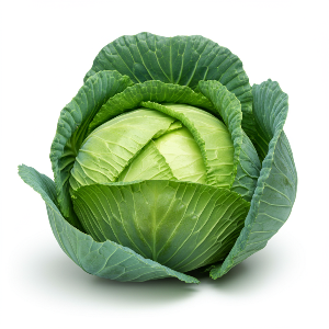 Cabbage