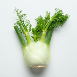 Fennel