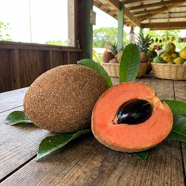 Mamey Sapote