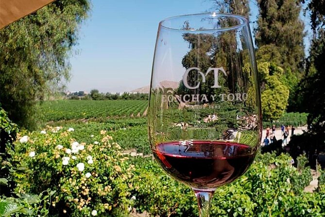 City Tour + Concha y Toro