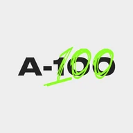 A-100 ERP logo