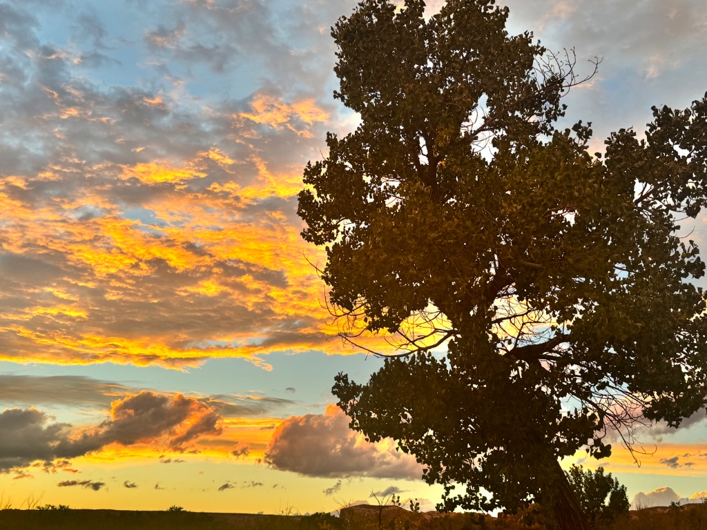 Texas sunset landscape