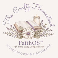 FaithOS™ | Bible Study Companion logo