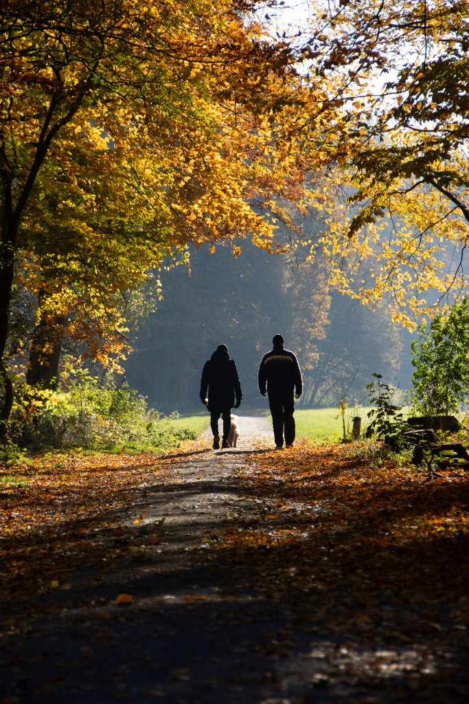 Two people walking under trees