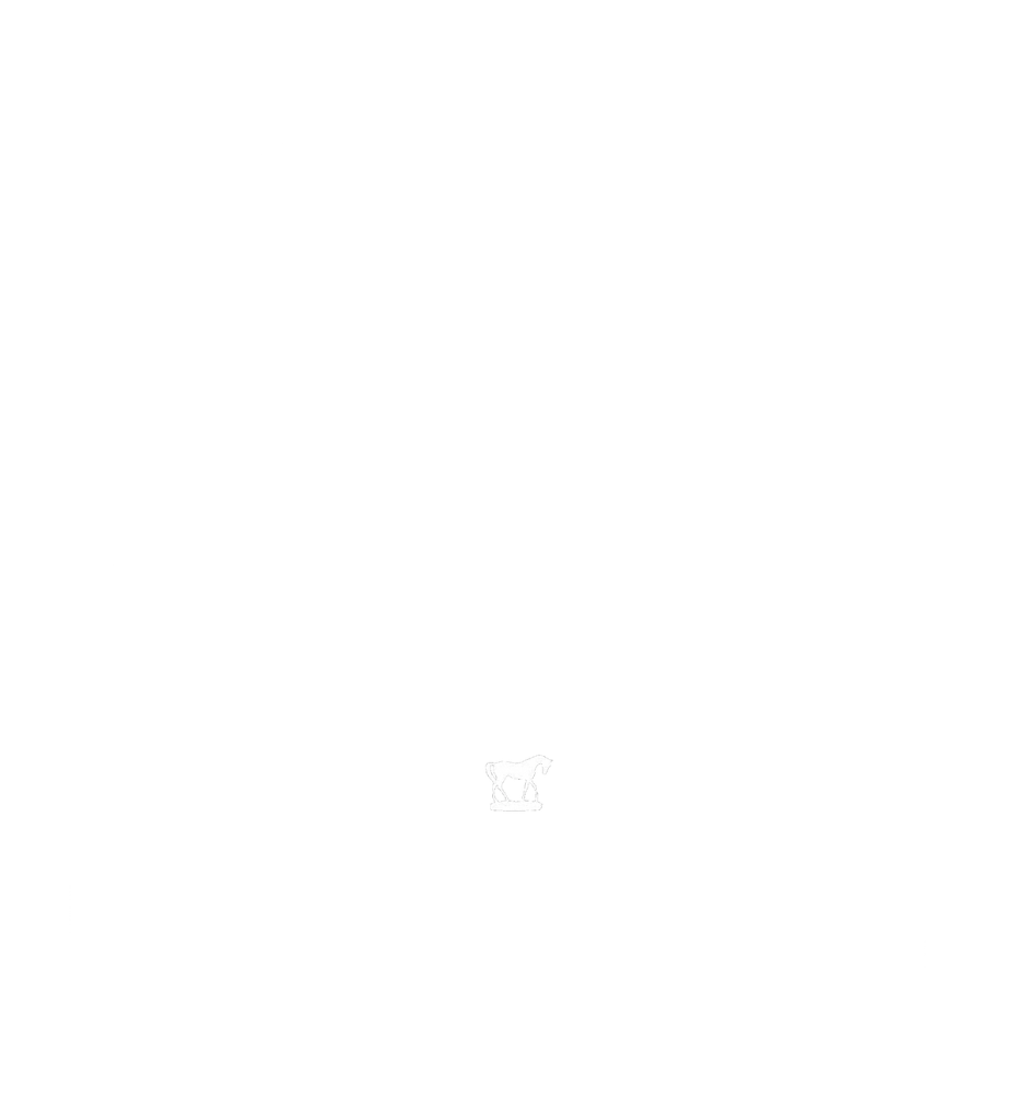 Peaky Blinders: The Rise