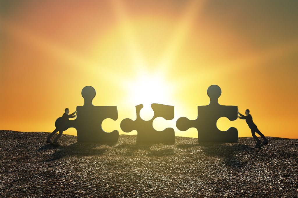 Professional wealth building