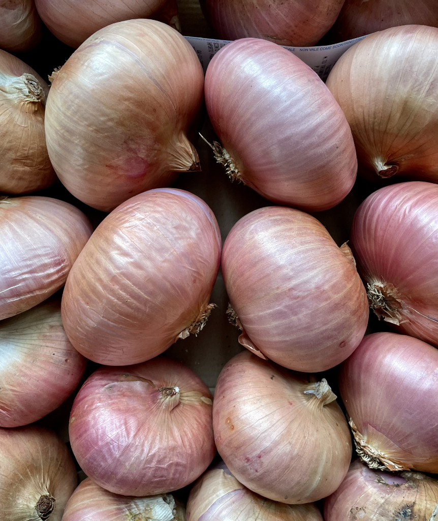 Cipolla di Montoro