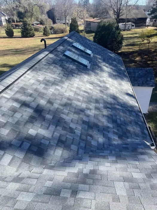 Shingle Roof with Skylights